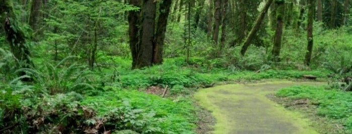 Tryon Creek State Park is one of Portlandia.