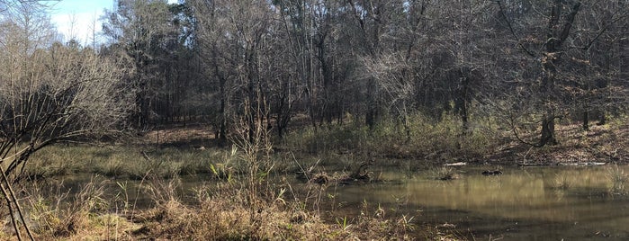 Chattahoochee Bend State Park is one of Locais curtidos por Aimee.
