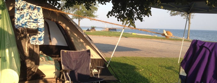 Wharf Rats Camping is one of Lugares favoritos de Amanda.