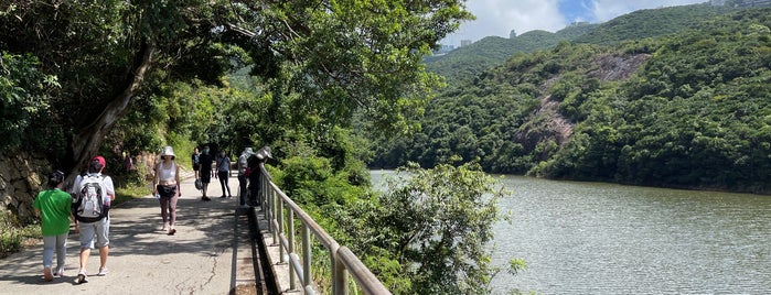 Pok Fu Lam Reservoir is one of 香港水塘.