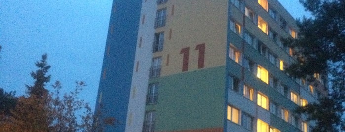 Dom Studencki nr 11 is one of Budynki UMK w Toruniu.