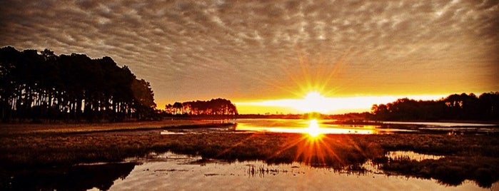 Maryland Coastal Bays Program is one of The Green Gatsby 님이 좋아한 장소.