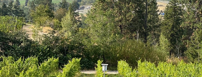 Tantalus is one of Okanagan Wineries.