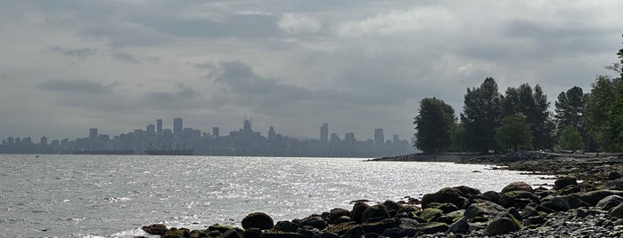 Acadia Beach is one of Locais curtidos por pixarina.