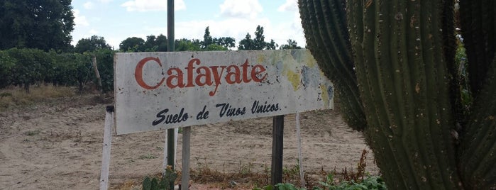 Bodega Vasija Secreta is one of Cafayate.