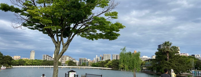 Ohori Park is one of Fukuoka chris.