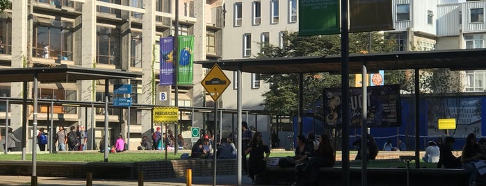 Universidad Católica de Temuco - Campus San Francisco is one of De todo.