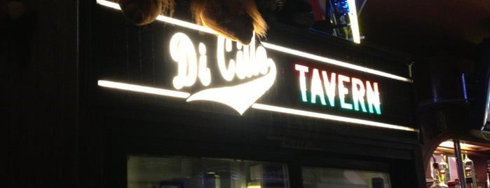 Dicillo's Tavern is one of Cleveland Dive Bars.