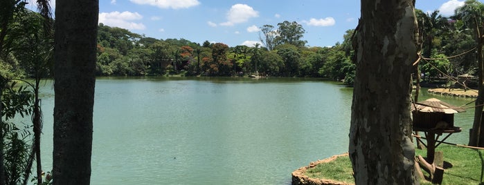 Fundação Parque Zoológico de São Paulo is one of Lugares favoritos de Aline.