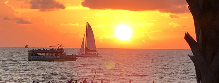 Clearwater Beach is one of Tempat yang Disukai Aline.