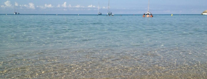 Cala Tarida is one of Spiaggia.