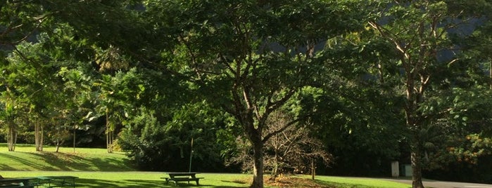 Ho‘omaluhia Botanical Garden is one of Hawai'i Essentials.