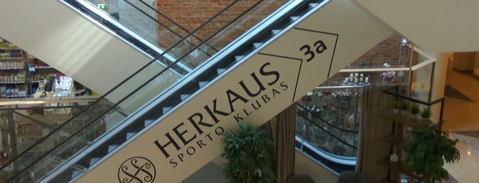 Herkaus Galerija is one of Klaipeda.
