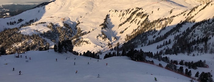 Alpe di Pampeago is one of Ski.