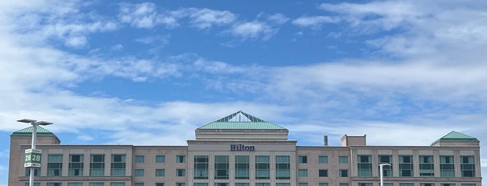 Hilton is one of Hotel Life - PST, AKST, HST.