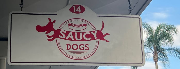 Saucy Dogs is one of Big Island.