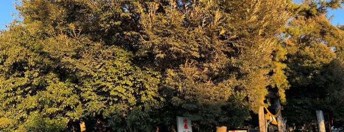 進雄神社 is one of 寺社.