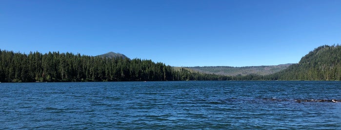 Suttle Lake is one of Locais curtidos por Erin.