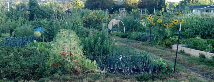 Mathews Community Garden is one of Tom's Mobile Marketing - Creator's List.