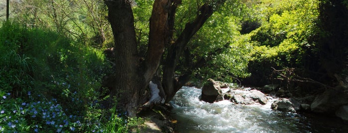 Garganta del rio la Hoz is one of Que visitar en la provincia de cordoba.