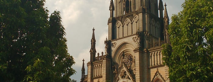 Catedral São Pedro de Alcântara is one of Locais curtidos por Aline.