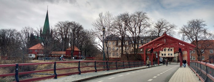 Altstadtbrücke is one of Orte, die Aline gefallen.