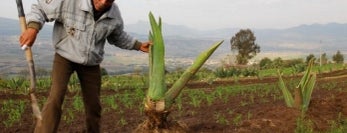 CRECE: Alimentos. Vida. Planeta.