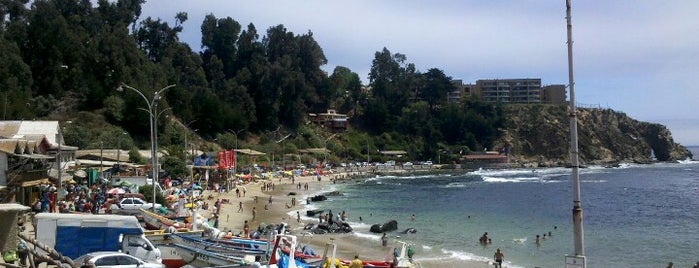 Caleta de Horcón is one of Andres’s Liked Places.