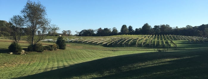 Miracle Valley Vineyard is one of Winchester,VA.