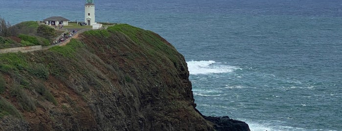 Kilauea Point National Wildlife Refuge is one of สถานที่ที่ Jingyuan ถูกใจ.