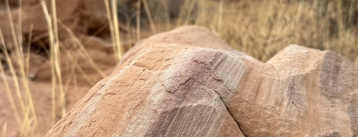 Kodachrome Basin State Park is one of Utah + Vegas 2018.