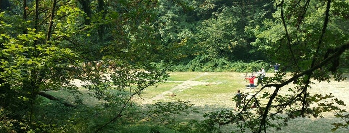 Washington Park Archery Range is one of Tempat yang Disukai Stephen.