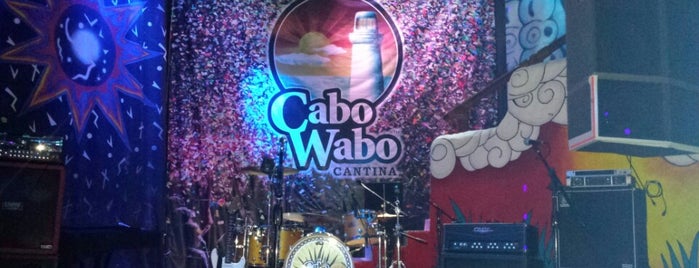 Cabo Wabo is one of Cabo.