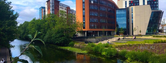 De Montfort University is one of L : понравившиеся места.