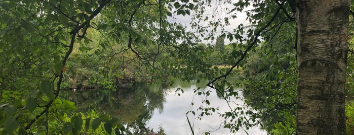 Buckingham Palace Garden is one of L'ın Beğendiği Mekanlar.