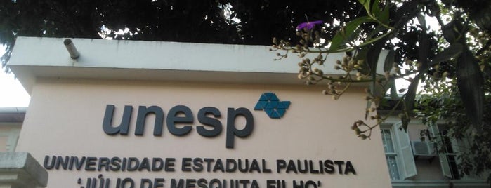 Universidade Estadual Paulista "Júlio Mesquita Filho" (Unesp) is one of Profissional.