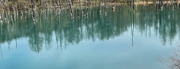 Shirogane Blue Pond is one of Asahikawaaaaa.