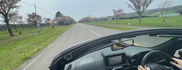 静内二十間道路桜並木 is one of サクラ🌸便り.