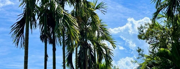 Praia Santa Rita is one of Favorite places.