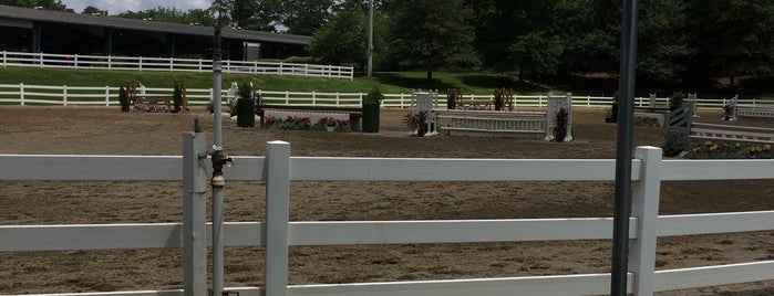 Wills Park Equestrian Center is one of The Great Outdoors.