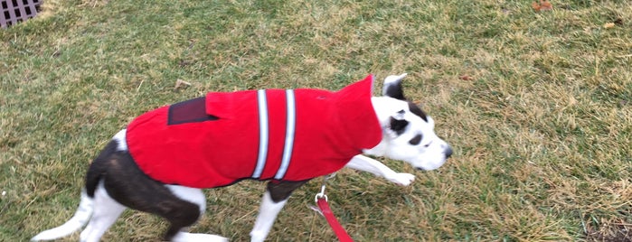 Cornell School Of Veterinary Medicine is one of Mike'nin Kaydettiği Mekanlar.