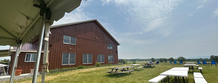 Long Point Winery is one of Cayuga East Shore Wineries.