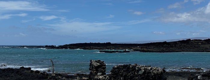 La Perouse Bay is one of TR B-Day Maui.