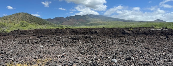 Lava Fields — Kings Trail is one of Maui.