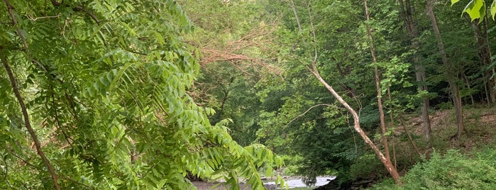 Mulholland Wildflower Preserve is one of Waterfalls.