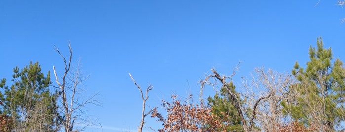 Bastrop State Park is one of Austin To Do.