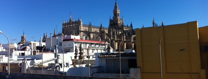 Reales Atarazanas is one of Andalucía: Sevilla.