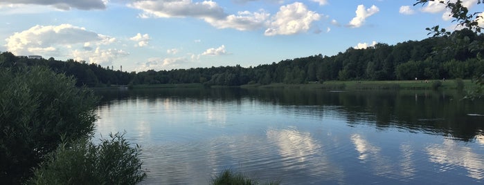 Лебедянский пруд is one of для_прогулок.