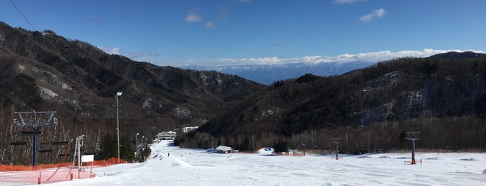 Araragikogen Ski Area is one of 長野県内のスキー場.