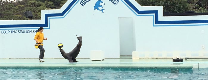 Dolphin and Sea Lion Stadium is one of 観光6.